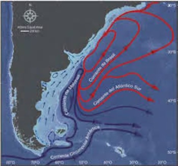 Pese al estudio publicado, quedan