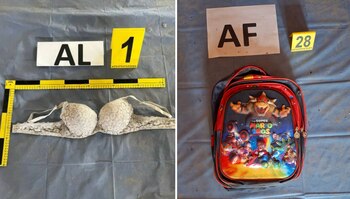 Fotografía de un brasier y