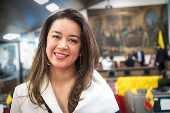 Diana Diago afirmó que el recaudo de las cámaras de fotodetección muestra una alta concentración en pocos corredores estratégicos de la ciudad - crédito Concejo de Bogotá