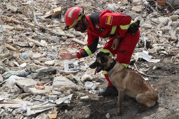 Un rescatista de España trabaja junto a un perro en medio de escombros de edificaciones destruidas este martes, en La Guaira (Venezuela). (Raúl Martínez/EFE)
