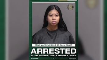 Foto policial de Anne Mae Demegillo, una mujer joven con cabello oscuro largo y una blusa negra, sobre un fondo gris. Logotipo de la Oficina del Sheriff del Condado de Flagler visible