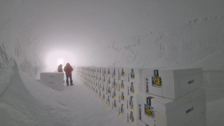 Cómo el hielo más antiguo hallado en la Antártida podría revelar un enigma climático de hace 1,5 millones de años - Infobae