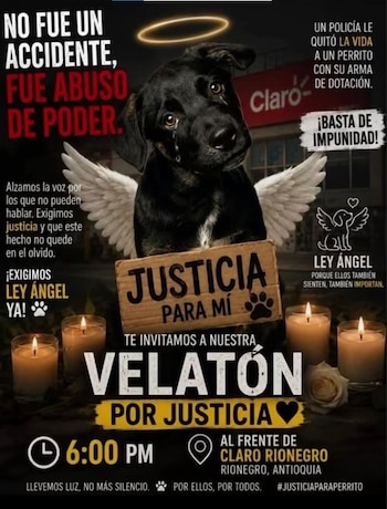 La comunidad de Rionegro y organizaciones animalistas convocaron a una velatón y protestas en rechazo a la muerte del perro y en demanda de justicia y respeto por los derechos de los animales - crédito X