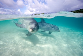 Over/under of a pair of