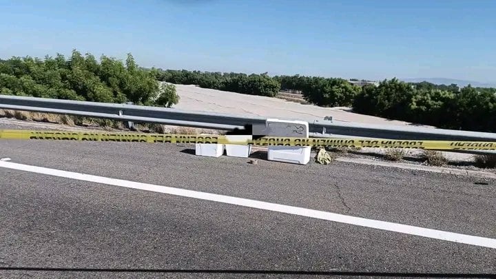 Ciudadanos que circulaban sobre la carretera advirtieron de la presencia de hieleras con presuntos restos humanos. (X: @thepuni26470896)