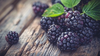 Zarzamora, una fruta saludable y