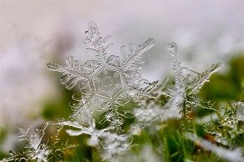 Los investigadores ejemplificaron que las