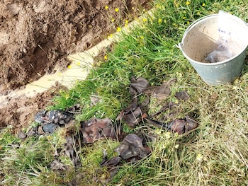 Restos de calzado y telas