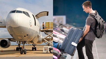 Cuáles son los productos y