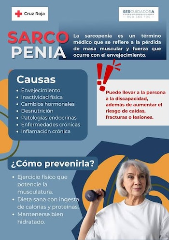 La sarcopenia es un término médico para designar la pérdida de masas muscular y fuerza. (Cruz Roja San Fernando)