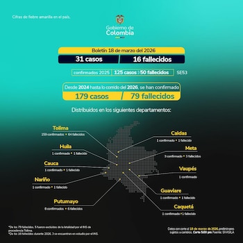 Boletín sobre la fiebre amarilla del Ministerio de Salud - crédito Ministerio de Salud