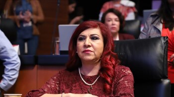 Qué dice la iniciativa de