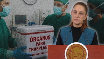 Sheinbaum alista campaña para promover