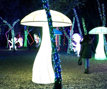 El parque Naucalli se ilumina.