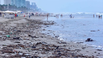 Verano 2025: así puedes verificar