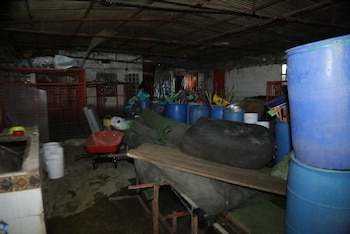 La Brigada de Vigilancia Animal