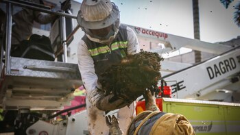 Debido al tamaño y los