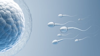 Un portador de gen cancerígeno