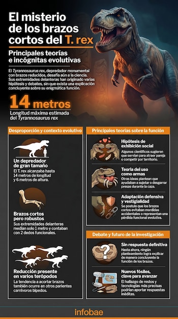 Infografía sobre el misterio de los brazos cortos del T. rex. Muestra una ilustración de un T. rex y gráficos explicativos sobre teorías evolutivas.