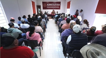 maíz Edomex apoyo complementario campo