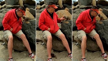 Se viralizó un video de