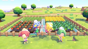 Cuatro personajes animados en un videojuego cultivando campos con tomates, maíz y plantas verdes. El entorno es una granja colorida con vallas de madera y colinas