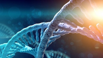 La genética ayuda a moldear la personalidad y el camino de vida, según revela un importante estudio