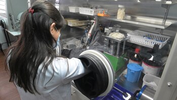 La doctora Mariela Ortiz del