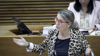 El PP celebra que Bruselas mantenga abierta la investigación a Oltra: "Este asunto no puede cerrarse en falso"