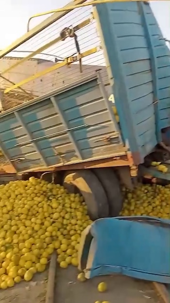 choque tren limones capturas