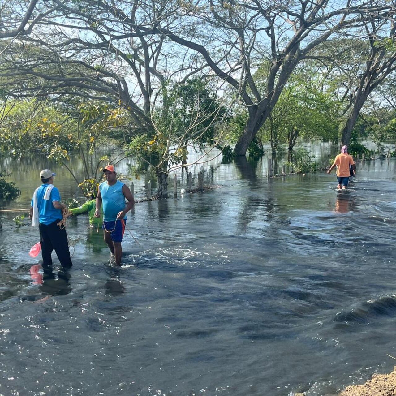 Hay grupos especializados para encontrar a los desaparecidos - crédito Alcaldía de San Pelayo