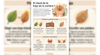 Infografía con ilustraciones de hojas, una cartera y texto explicativo en seis cuadros organizados sobre fondo claro con el logotipo de Infobae.