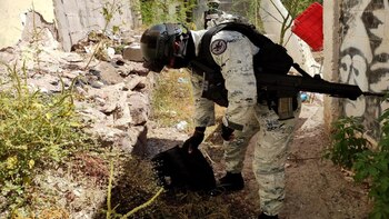 Fentanilo, cocaína, marihuana, son algunas