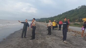 Un avión cayó al mar