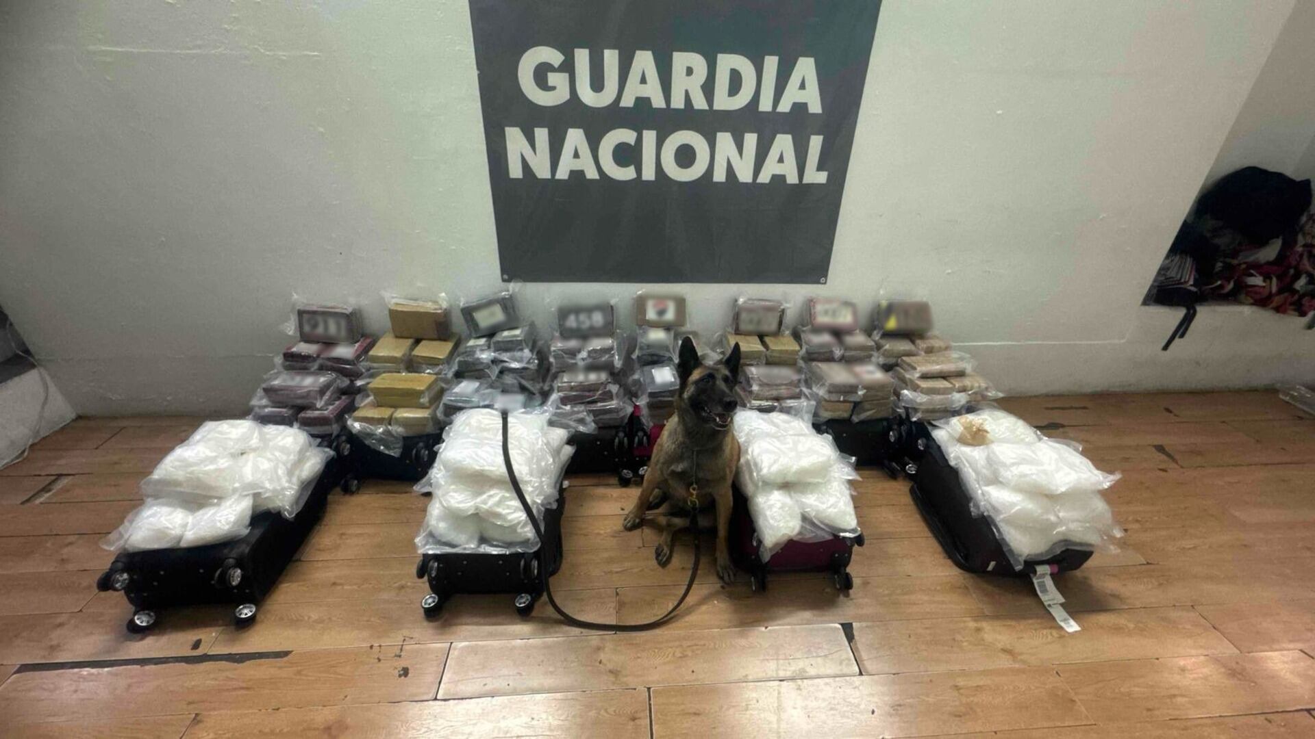 Las personas encargadas de las maletas huyeron de las instalaciones (Guardia Nacional)