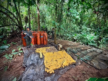 La operación de la Fuerza de Tarea Hércules se realizó en la vereda La Aduana, en la zona rural de Tumaco, departamento de Nariño - crédito @COL_EJERCITO / X