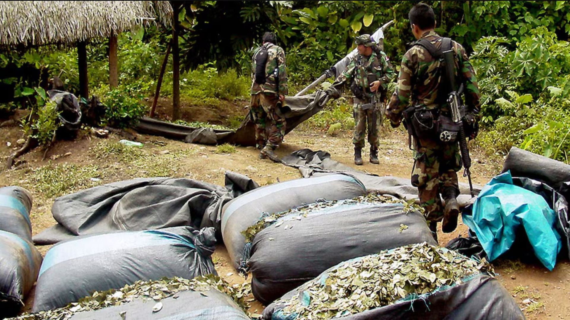 Consumo descontrolado y narcotráfico son caras distintas del mismo conflicto global. La fecha recuerda que ambos requieren respuestas diferenciadas y marcos legales ajustados a cada realidad. (Andina)
