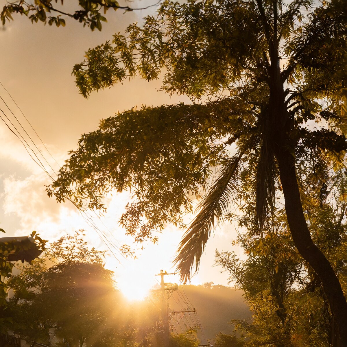 Cómo será el clima en Monterrey este 26 de agosto - Infobae