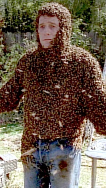 O dia em que Bryan Cranston foi picado por 60 mil abelhas