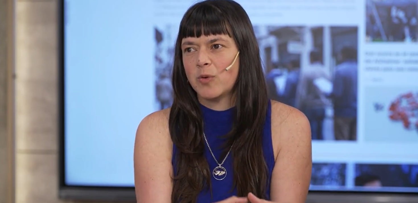 Mariana Altieri cuestionó que la iniciativa sobre Malvinas vincule la disputa territorial con desinformación, terrorismo, interferencia extranjera y procesos electorales (Captura de video)
