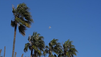 Emergencias sube a roja la