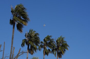 Imagen DX6U4Q3L3NE25HB5STNF3RPITY