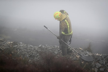 Imagen DX7B3QK22FBFDKC63QCAYZPURU