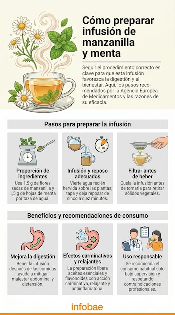 Infografía detallada sobre la preparación de infusión de manzanilla y menta, incluyendo ingredientes, proceso, filtrado, y sus beneficios digestivos.