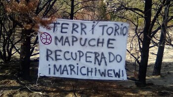 Una comunidad mapuche usurpó un