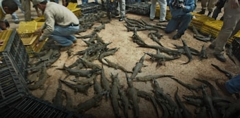 Las lluvias impidieron la búsqueda