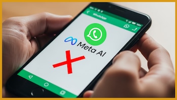 Entre los motivos invocados por