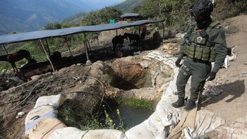 Cerca de 40 minas ilegales