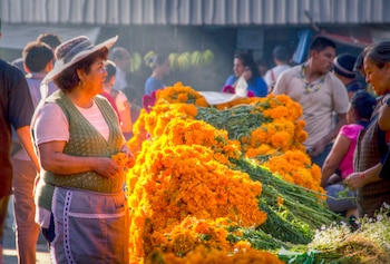 Una mujer con sombrero y chaleco verde permanece junto a varios ramilletes de flores anaranjadas en un mercado