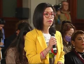 La periodista Nayeli Roldán en